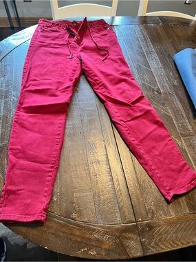 Judy Blue Women’s Bright Raspberry Skinny Jeans